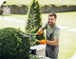 Seasonal Planting & Year-Round Garden Care